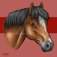 bayhorse