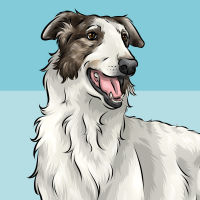 borzoi