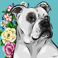 bulldog
