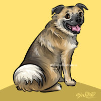 pug cross