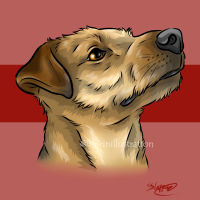 terrier