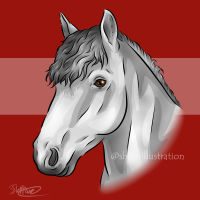 grey pony