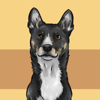 dog portrait