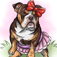 bulldog