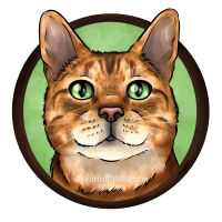 bengal cat