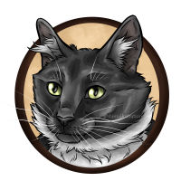 black cat