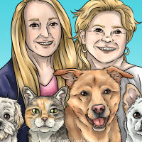 pet portrait