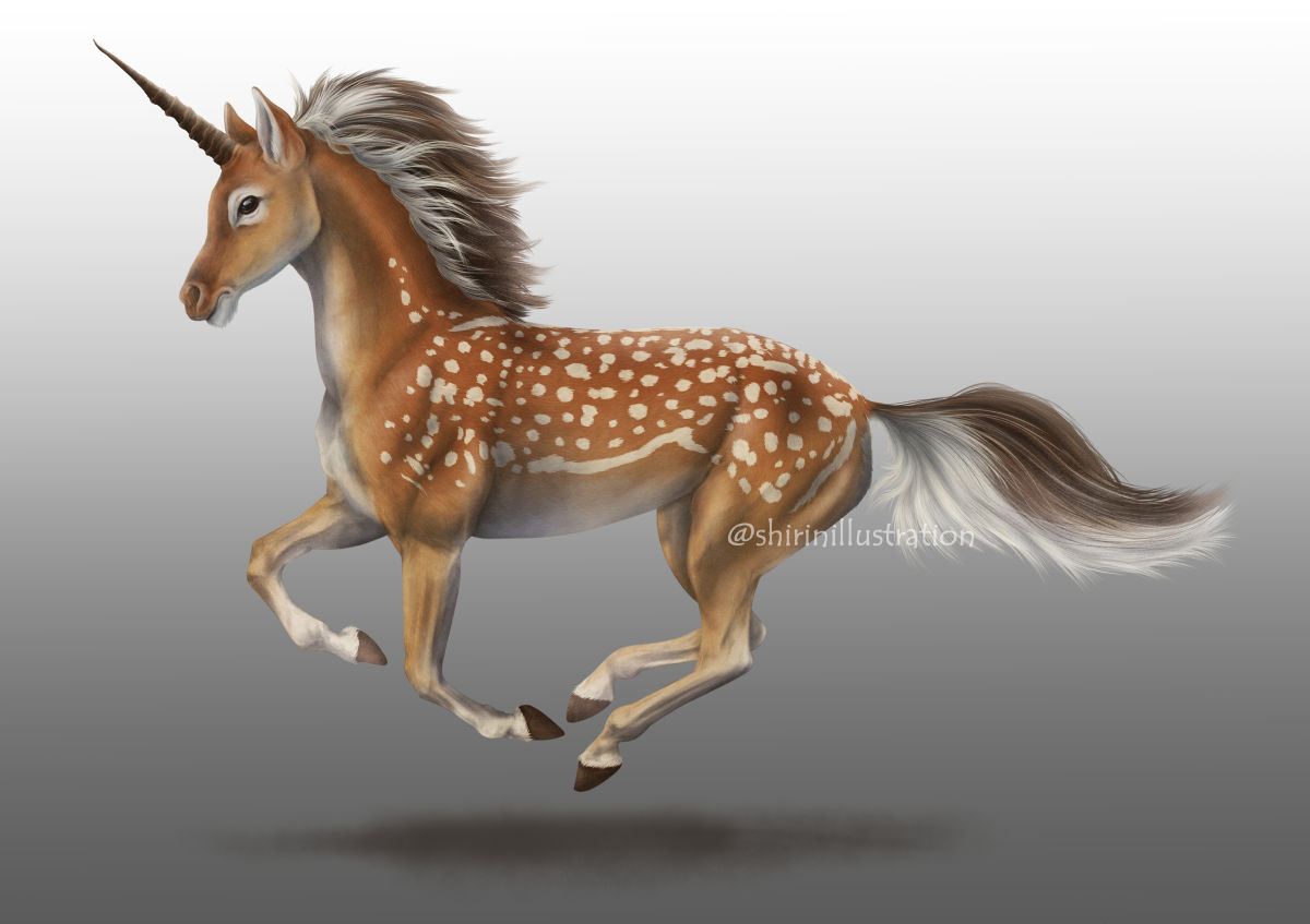 realistic unicorn