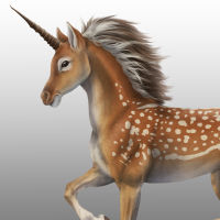 unicorn