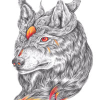 wolf drawing