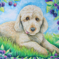 pet portrait