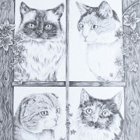 cat drawing