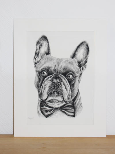 bulldog photo