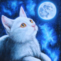fantastical cat