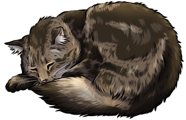 Sleeping Cat