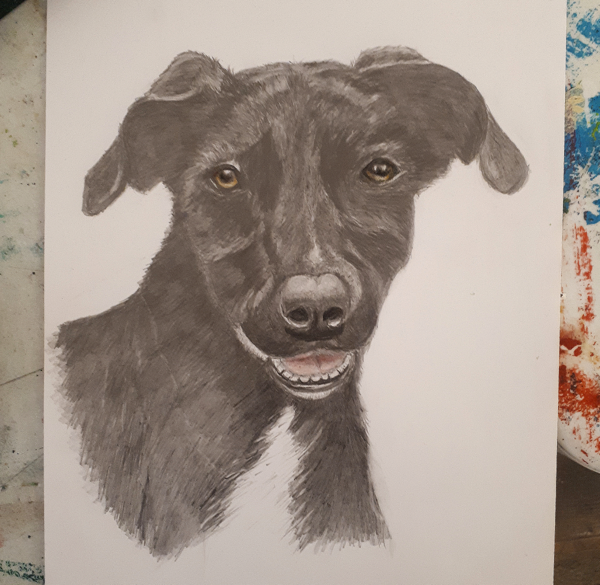 dog portrait