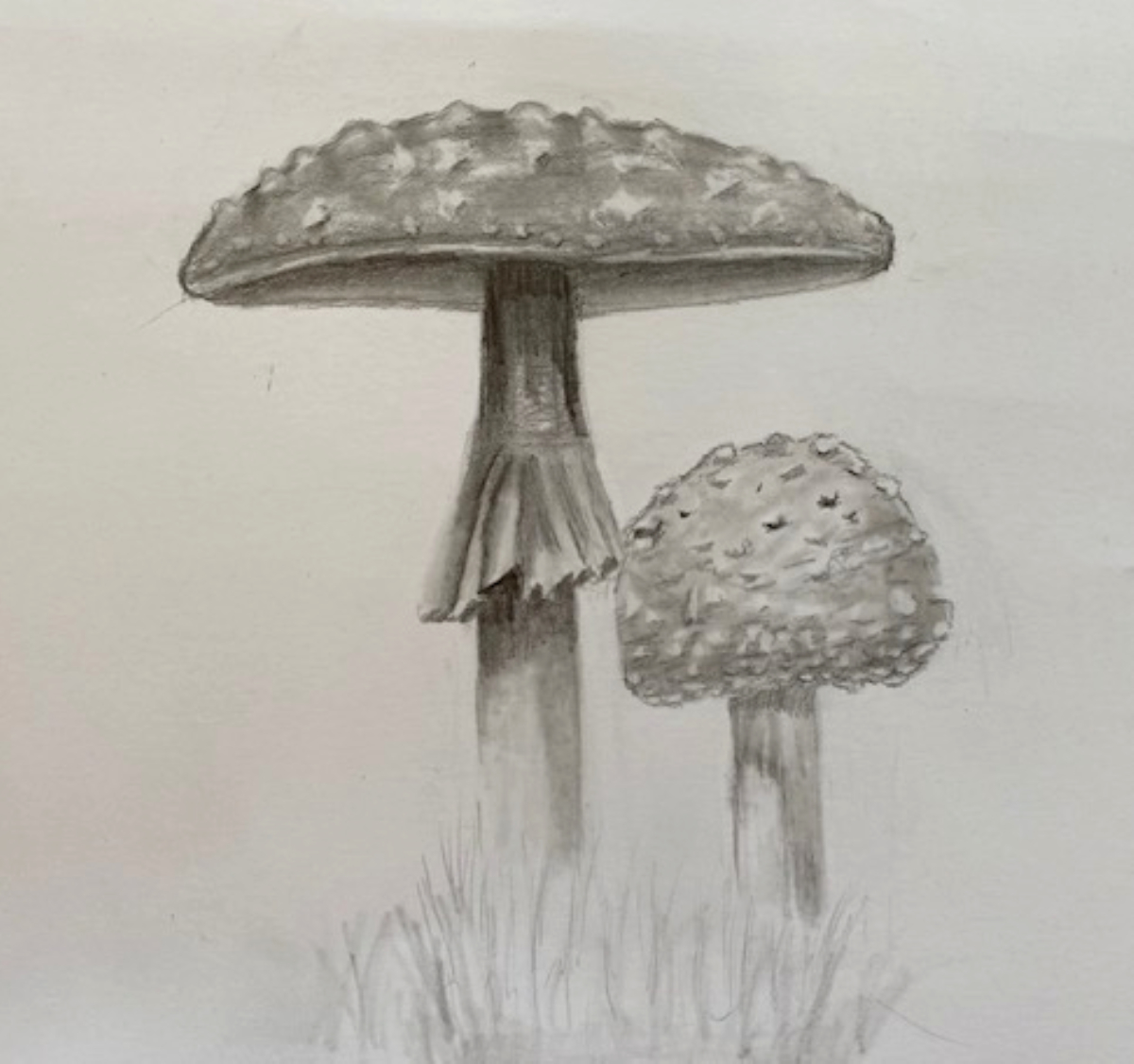 mushroom
