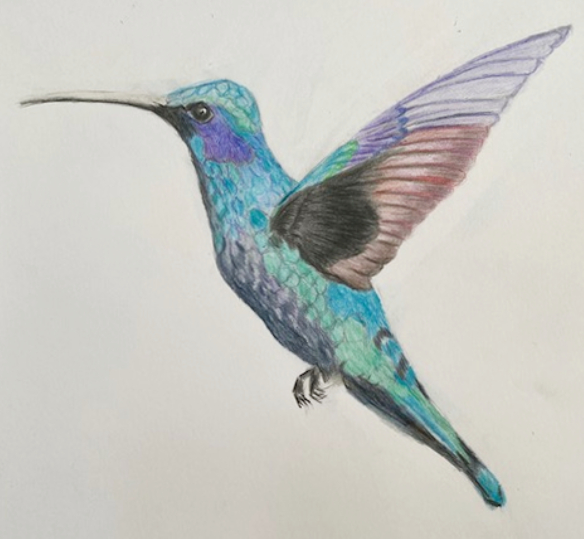 hummingbird