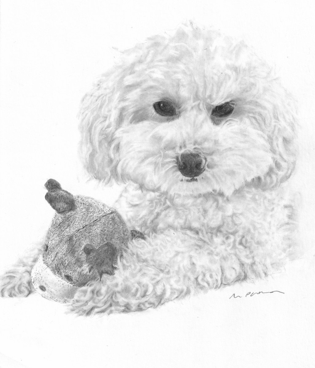 dog portrait