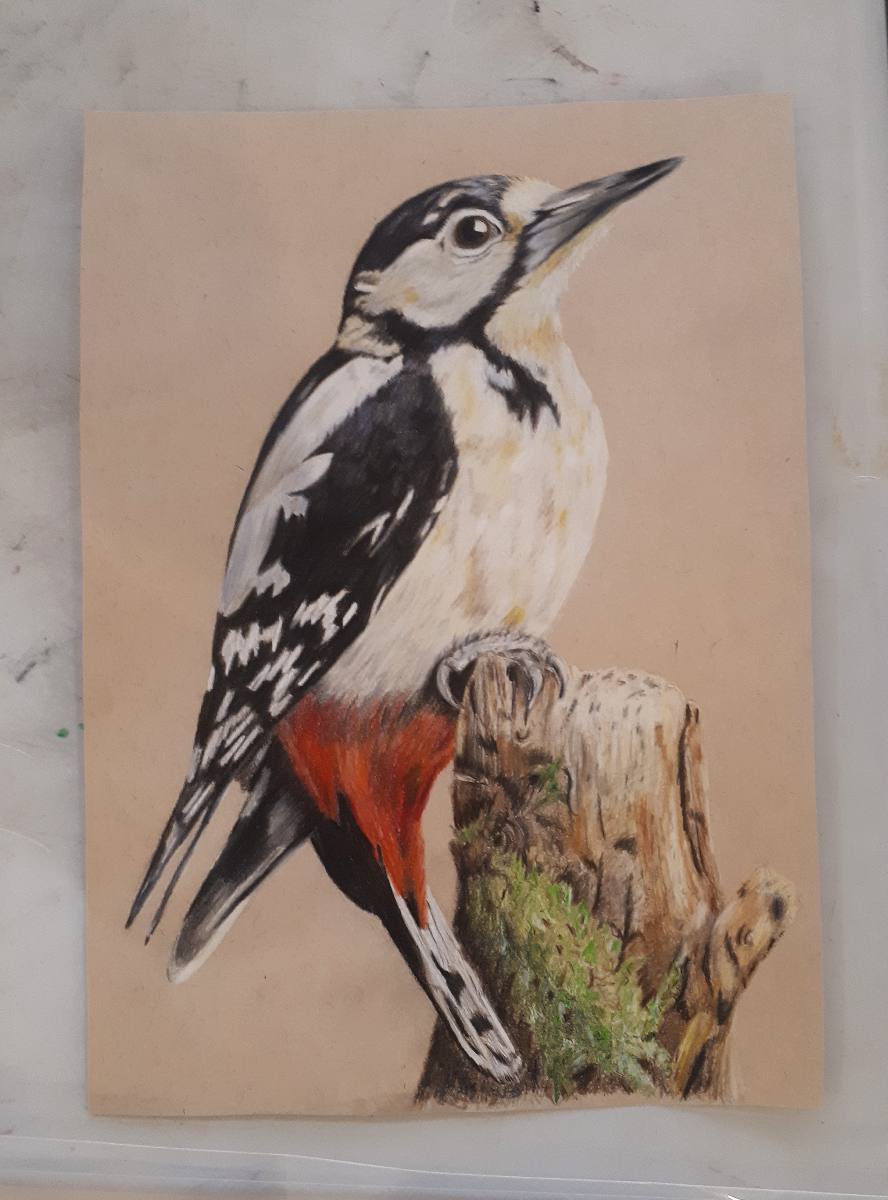 woodpecker