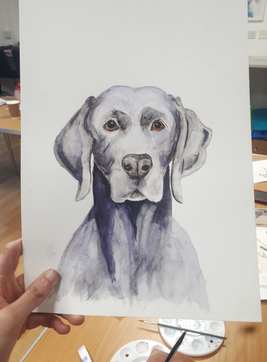 dog portrait