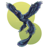 microraptor